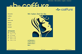 Webdesign Kunde aus Urdorf #13