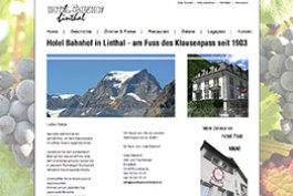 Webdesign Glarus Sd/Linthal #6